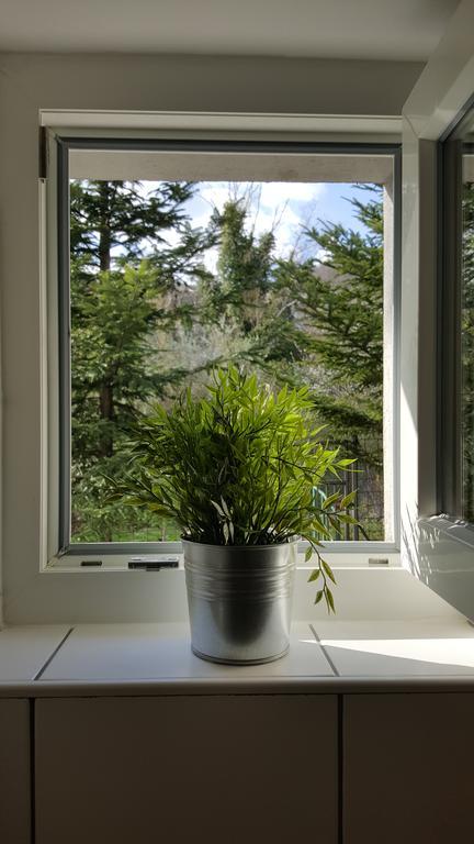 Apartments Garden 萨格勒布 外观 照片